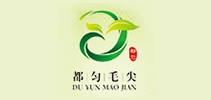都匀毛尖